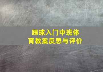 踢球入门中班体育教案反思与评价