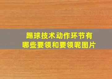 踢球技术动作环节有哪些要领和要领呢图片