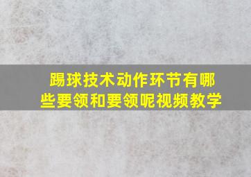 踢球技术动作环节有哪些要领和要领呢视频教学