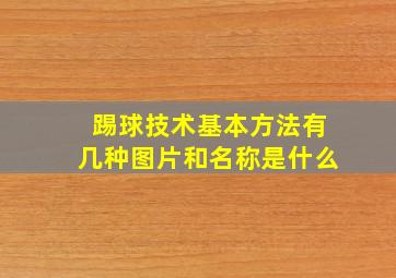 踢球技术基本方法有几种图片和名称是什么