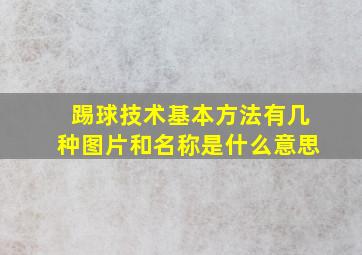 踢球技术基本方法有几种图片和名称是什么意思