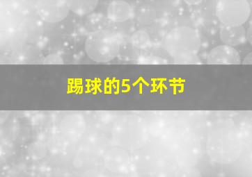 踢球的5个环节