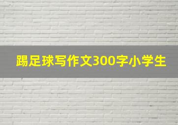 踢足球写作文300字小学生