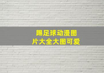 踢足球动漫图片大全大图可爱