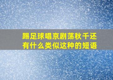 踢足球唱京剧荡秋千还有什么类似这种的短语