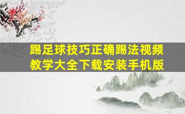 踢足球技巧正确踢法视频教学大全下载安装手机版