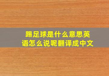 踢足球是什么意思英语怎么说呢翻译成中文