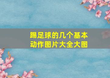 踢足球的几个基本动作图片大全大图