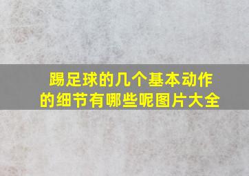 踢足球的几个基本动作的细节有哪些呢图片大全