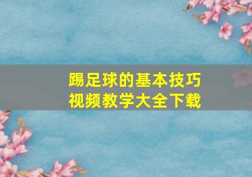 踢足球的基本技巧视频教学大全下载