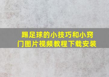 踢足球的小技巧和小窍门图片视频教程下载安装