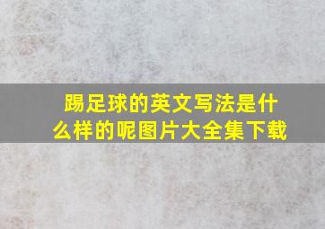 踢足球的英文写法是什么样的呢图片大全集下载