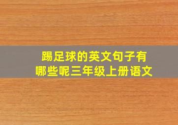 踢足球的英文句子有哪些呢三年级上册语文