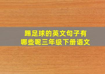 踢足球的英文句子有哪些呢三年级下册语文