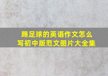 踢足球的英语作文怎么写初中版范文图片大全集