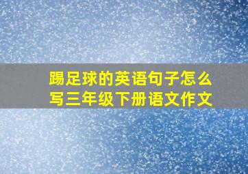 踢足球的英语句子怎么写三年级下册语文作文