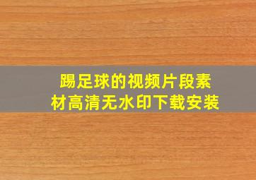 踢足球的视频片段素材高清无水印下载安装