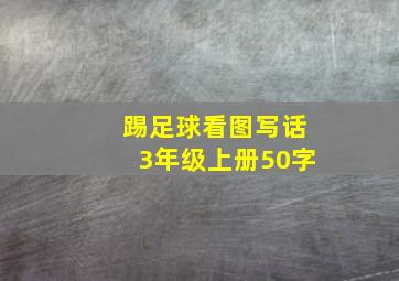 踢足球看图写话3年级上册50字