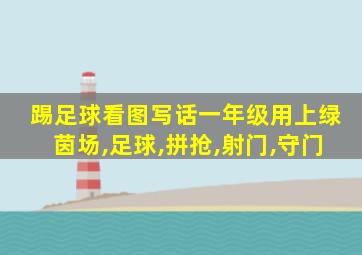 踢足球看图写话一年级用上绿茵场,足球,拼抢,射门,守门