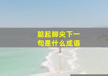 踮起脚尖下一句是什么成语