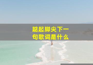 踮起脚尖下一句歌词是什么