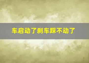 车启动了刹车踩不动了