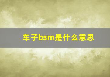 车子bsm是什么意思