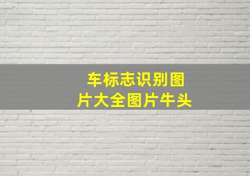 车标志识别图片大全图片牛头