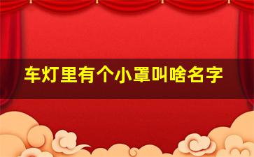 车灯里有个小罩叫啥名字