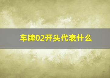 车牌02开头代表什么