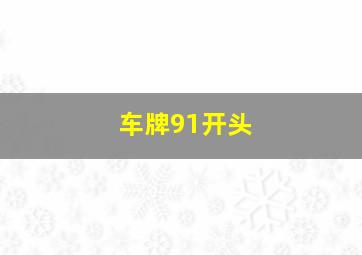 车牌91开头