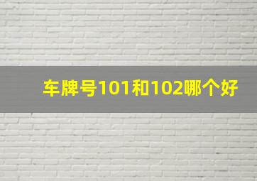 车牌号101和102哪个好