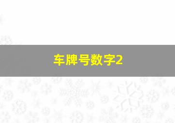 车牌号数字2