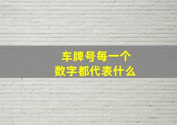 车牌号每一个数字都代表什么