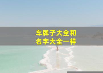 车牌子大全和名字大全一样