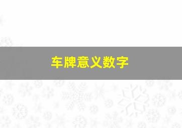 车牌意义数字