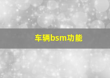 车辆bsm功能