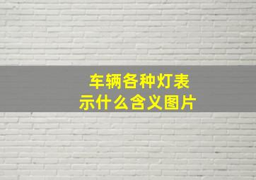 车辆各种灯表示什么含义图片