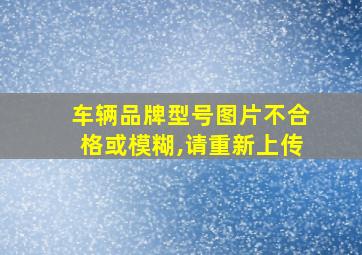 车辆品牌型号图片不合格或模糊,请重新上传