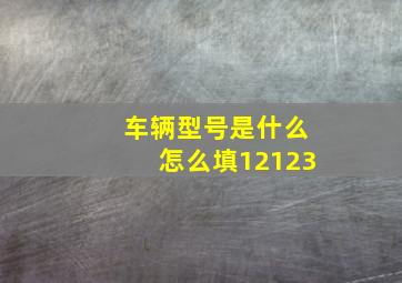 车辆型号是什么怎么填12123