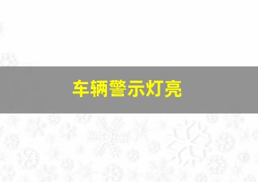 车辆警示灯亮