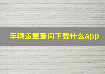 车辆违章查询下载什么app