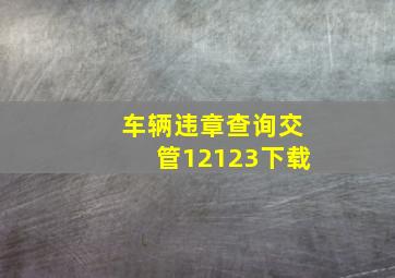 车辆违章查询交管12123下载