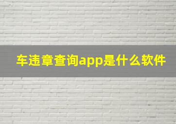 车违章查询app是什么软件