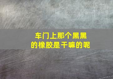 车门上那个黑黑的橡胶是干嘛的呢