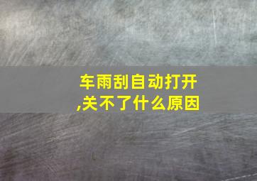 车雨刮自动打开,关不了什么原因