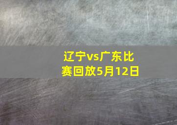 辽宁vs广东比赛回放5月12日