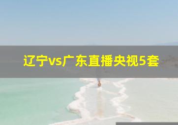 辽宁vs广东直播央视5套