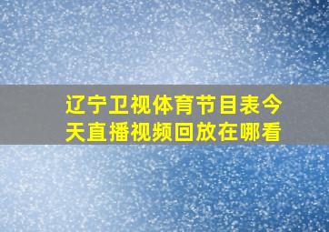 辽宁卫视体育节目表今天直播视频回放在哪看