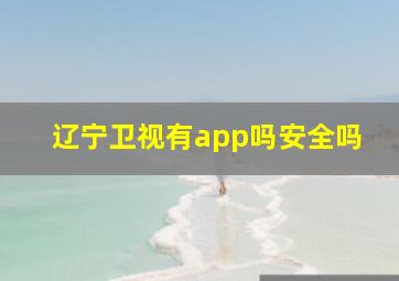 辽宁卫视有app吗安全吗